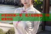 妙警贼探第一季：诱人犯罪剧情，FBI破案伴侣