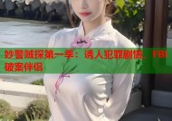 妙警贼探第一季：诱人犯罪剧情，FBI破案伴侣