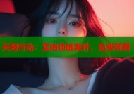天网行动：实拍侦破案件，免费观看