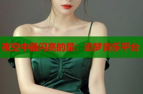 夜空中最闪亮的星：追梦音乐平台
