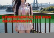 在线观看哈利波特与死亡圣器 体验高清魔法冒险的最佳平台