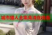 城市猎人全集高清在线看
