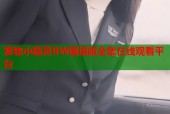 宠物小精灵BW国语版全集在线观看平台