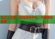 戏王之王国：游戏互动平台，尽享娱乐盛宴