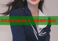 哈利波特与混血王子：神秘魔药与冒险