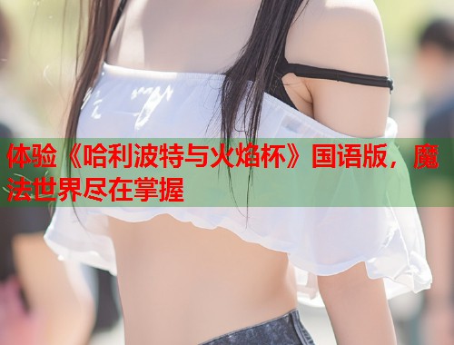 体验《哈利波特与火焰杯》国语版，魔法世界尽在掌握  第1张