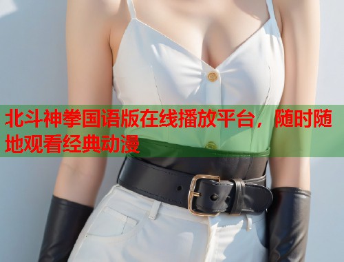 北斗神拳国语版在线播放平台，随时随地观看经典动漫  第1张