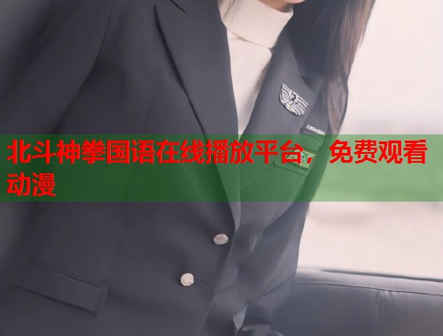 北斗神拳国语在线播放平台，免费观看动漫  第1张