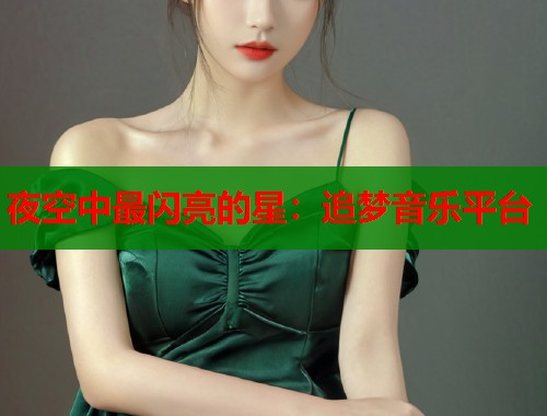 夜空中最闪亮的星：追梦音乐平台  第1张