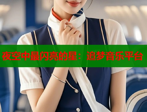 夜空中最闪亮的星：追梦音乐平台  第2张