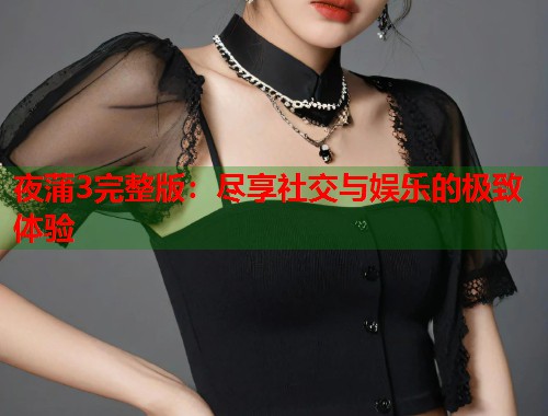 夜蒲3完整版：尽享社交与娱乐的极致体验  第2张