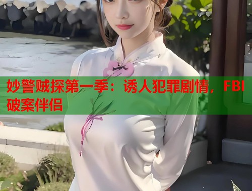 妙警贼探第一季：诱人犯罪剧情，FBI破案伴侣  第1张