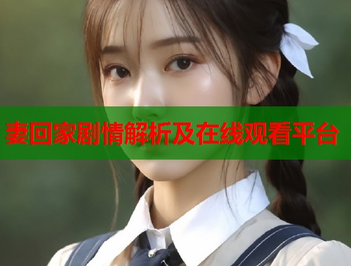 妻回家剧情解析及在线观看平台  第2张