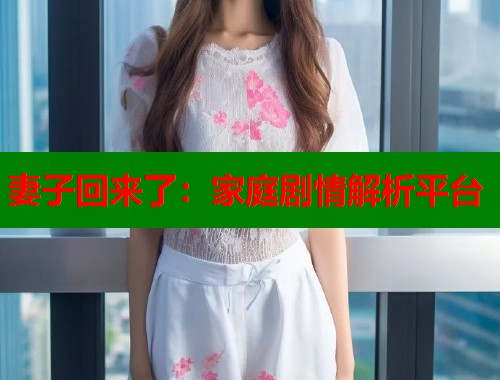 妻子回来了：家庭剧情解析平台  第1张