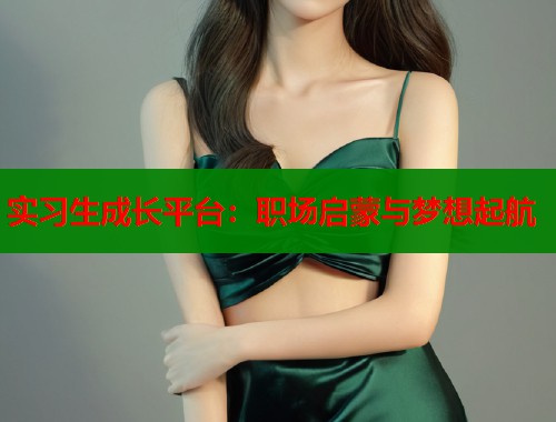 实习生成长平台：职场启蒙与梦想起航  第1张