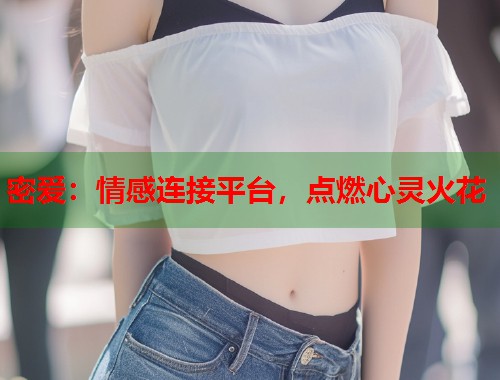 密爱：情感连接平台，点燃心灵火花  第2张