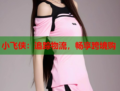 小飞侠：追踪物流，畅享跨境购  第1张