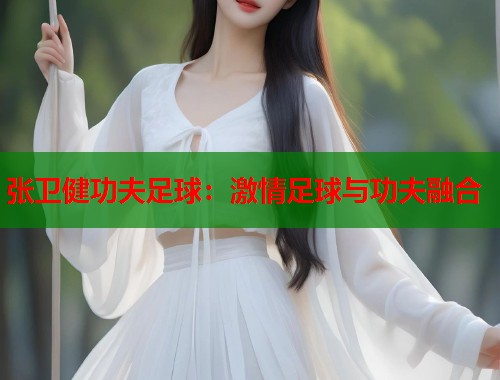 张卫健功夫足球：激情足球与功夫融合  第1张
