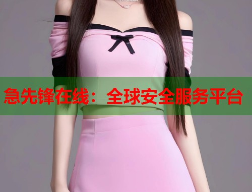 急先锋在线：全球安全服务平台  第1张
