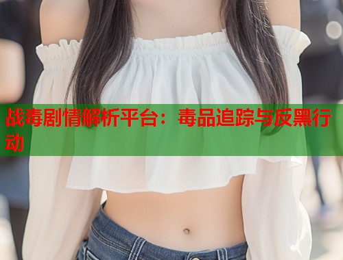 战毒剧情解析平台：毒品追踪与反黑行动  第1张
